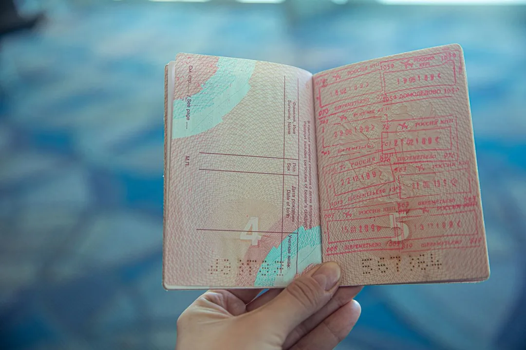 Djibouti's Department of Emigration — Fraudulent Visa Entries Down Over 90% — airport immigration passport border control, by Acube Innovations, an ERPNext & software development company in India
