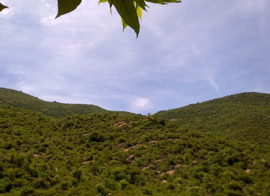 Dharmapuri, Tamil Nadu