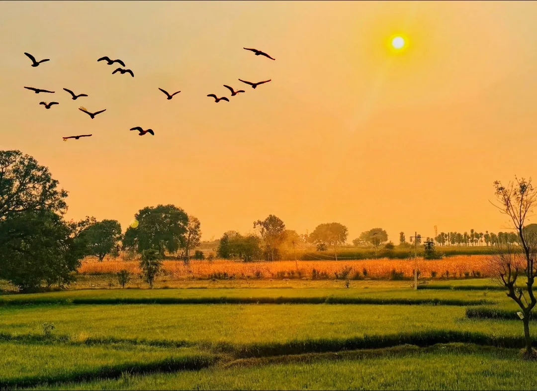 Kamareddy, Telangana