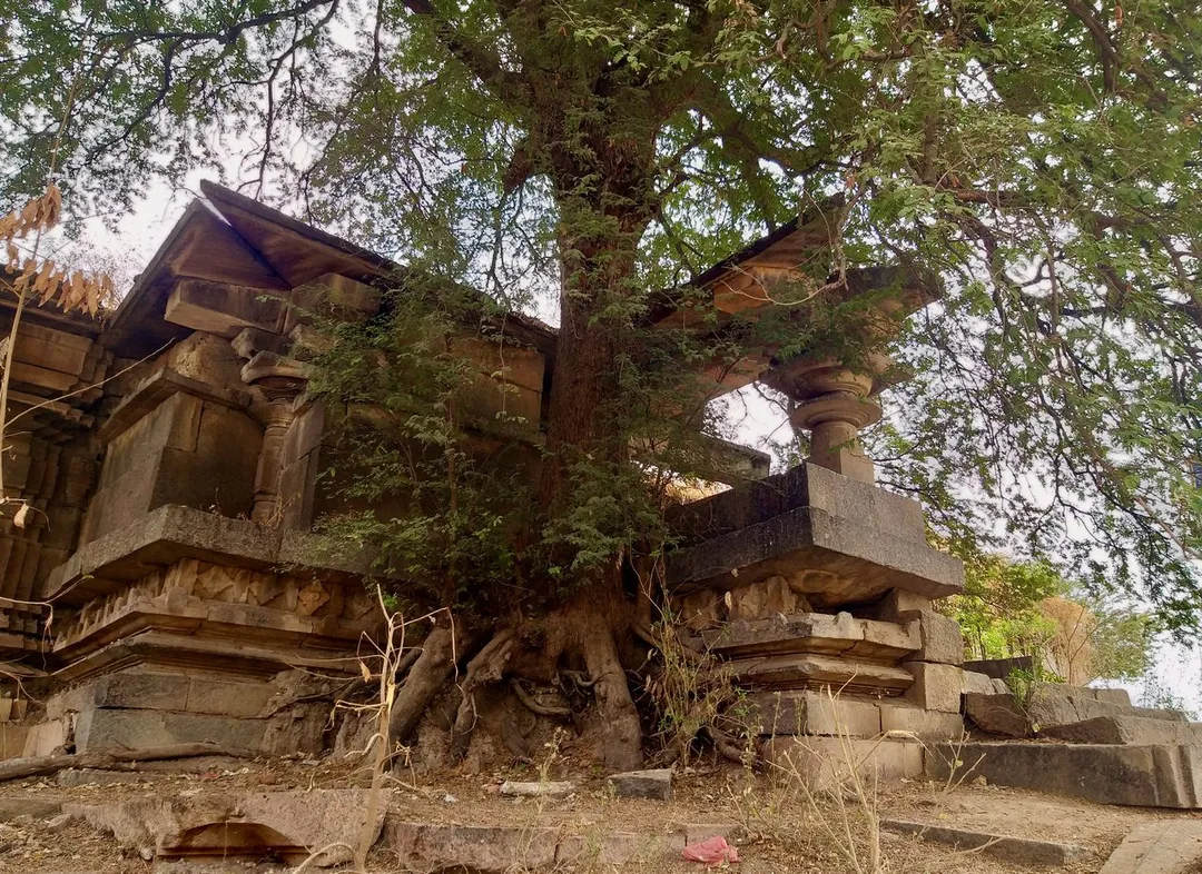 Karimnagar, Telangana