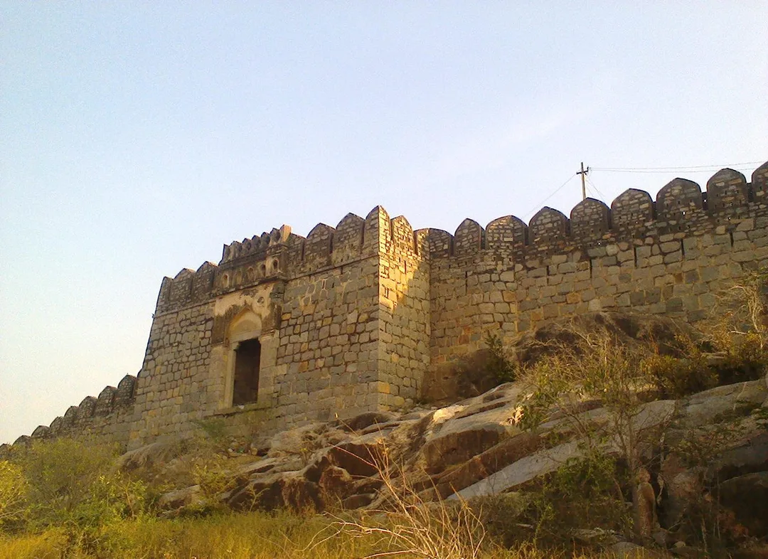 Narayanpet, Telangana