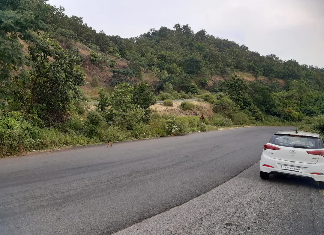 Nirmal, Telangana