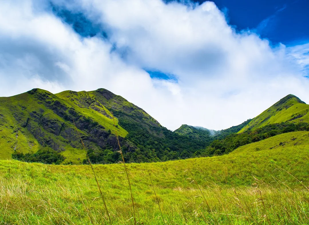 Wayanad, Kerala